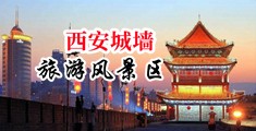 裸美女被肏中国陕西-西安城墙旅游风景区