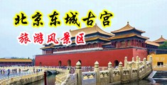 黑女肛交视频在线看中国北京-东城古宫旅游风景区
